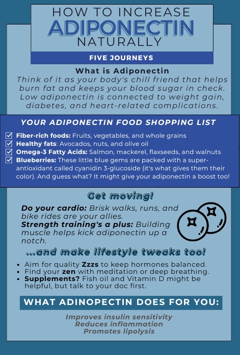 How to Increase Adiponectin, The Fat Burning Hormone