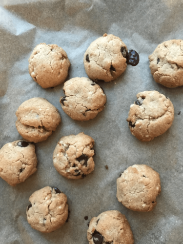 AIP Tigernut Chocolate Chip Cookies