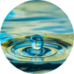 Concierge Membership