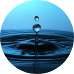 Concierge Membership