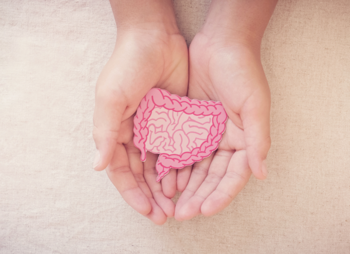 Battling Gut Issues: How It Can Lead to Unintended Weight Gain