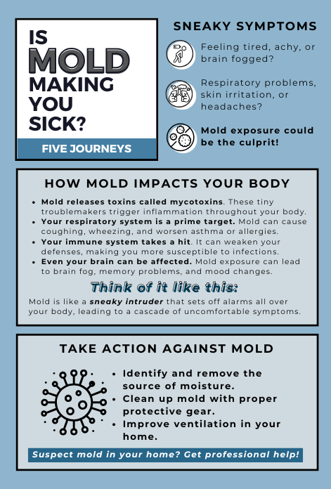 Mycotoxins Testing at Five Journeys Clinic